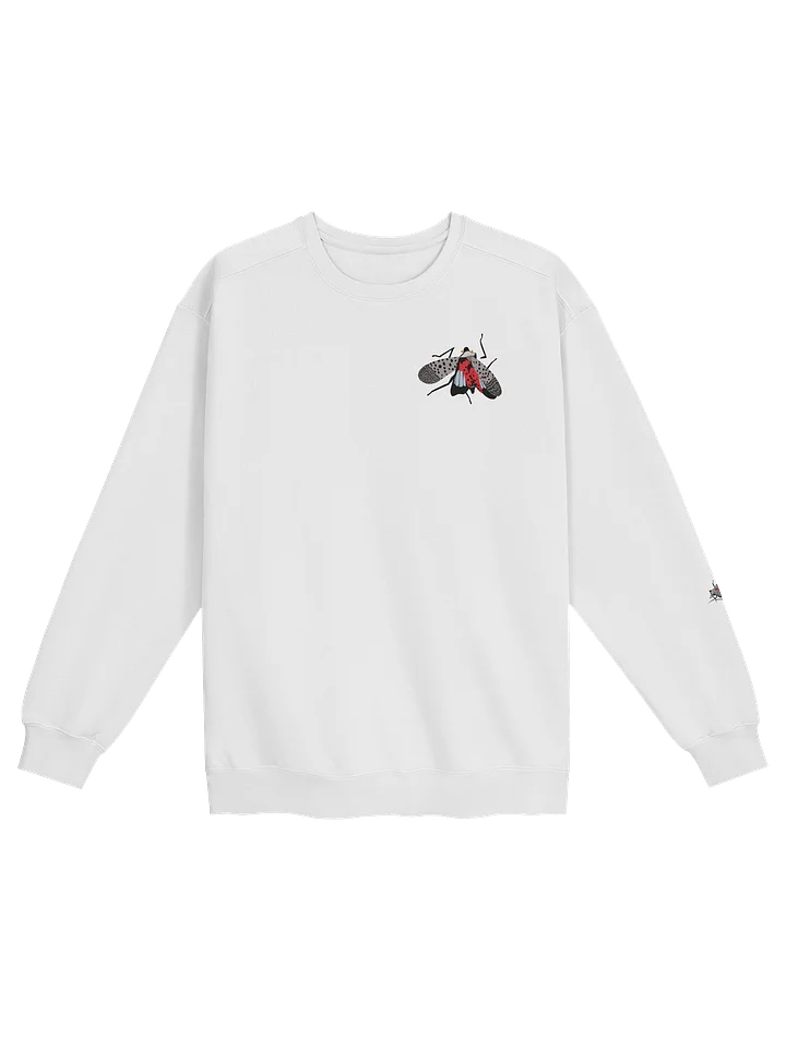 Sweatshirt 2 product image (1)
