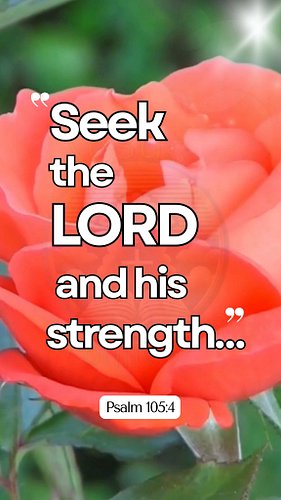 Keep Seeking God
🧡🤍🧡🤍🧡🤍🧡🤍🧡🤍🧡🤍🧡🤍
Psalm 105:4 — “Seek the LORD, and his strength…”
#BibleVerses #DailyBibleVerse #GodsWord #Chr...