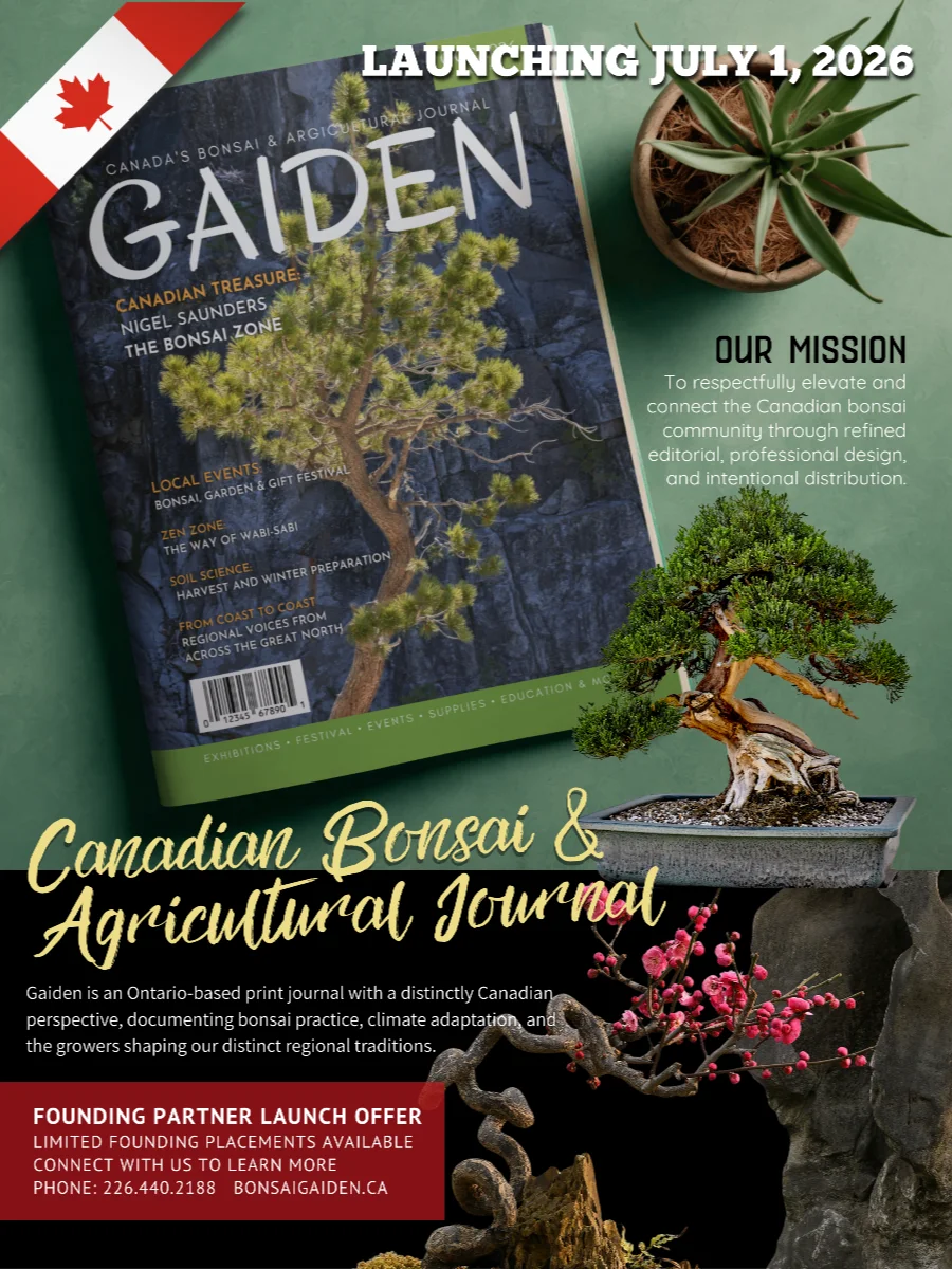 GAIDEN: 1/4 PG Ad Insert product image (2)
