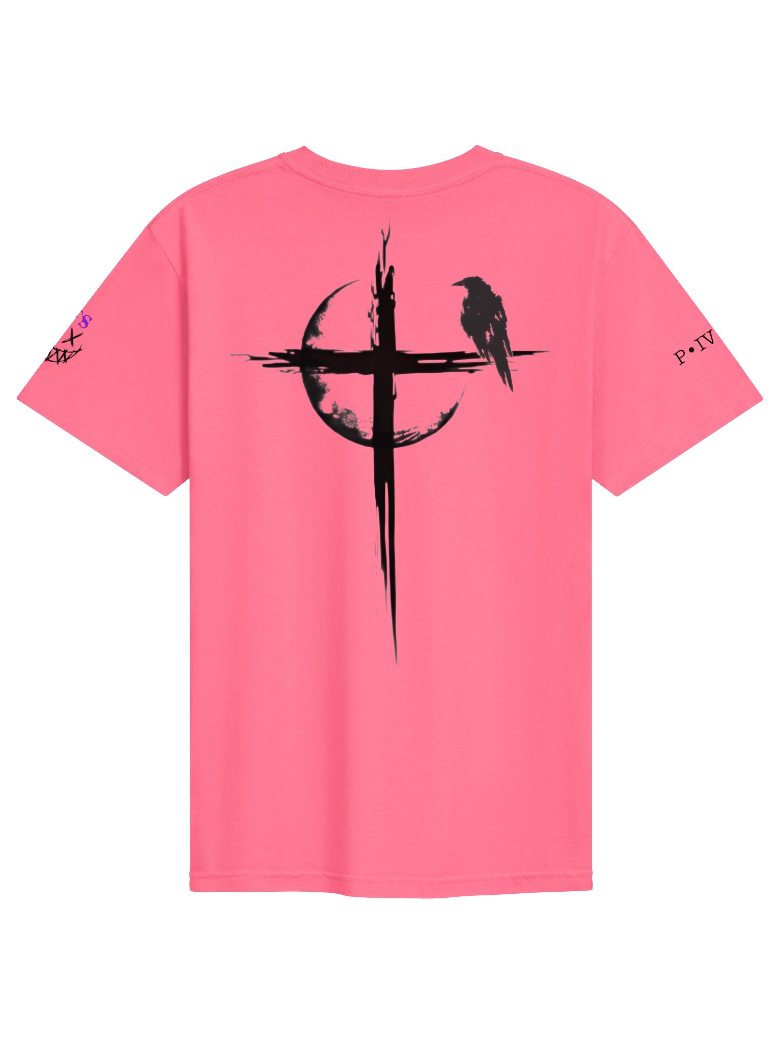 Philippians 4:13 LFS T Shirt drop product image (2)
