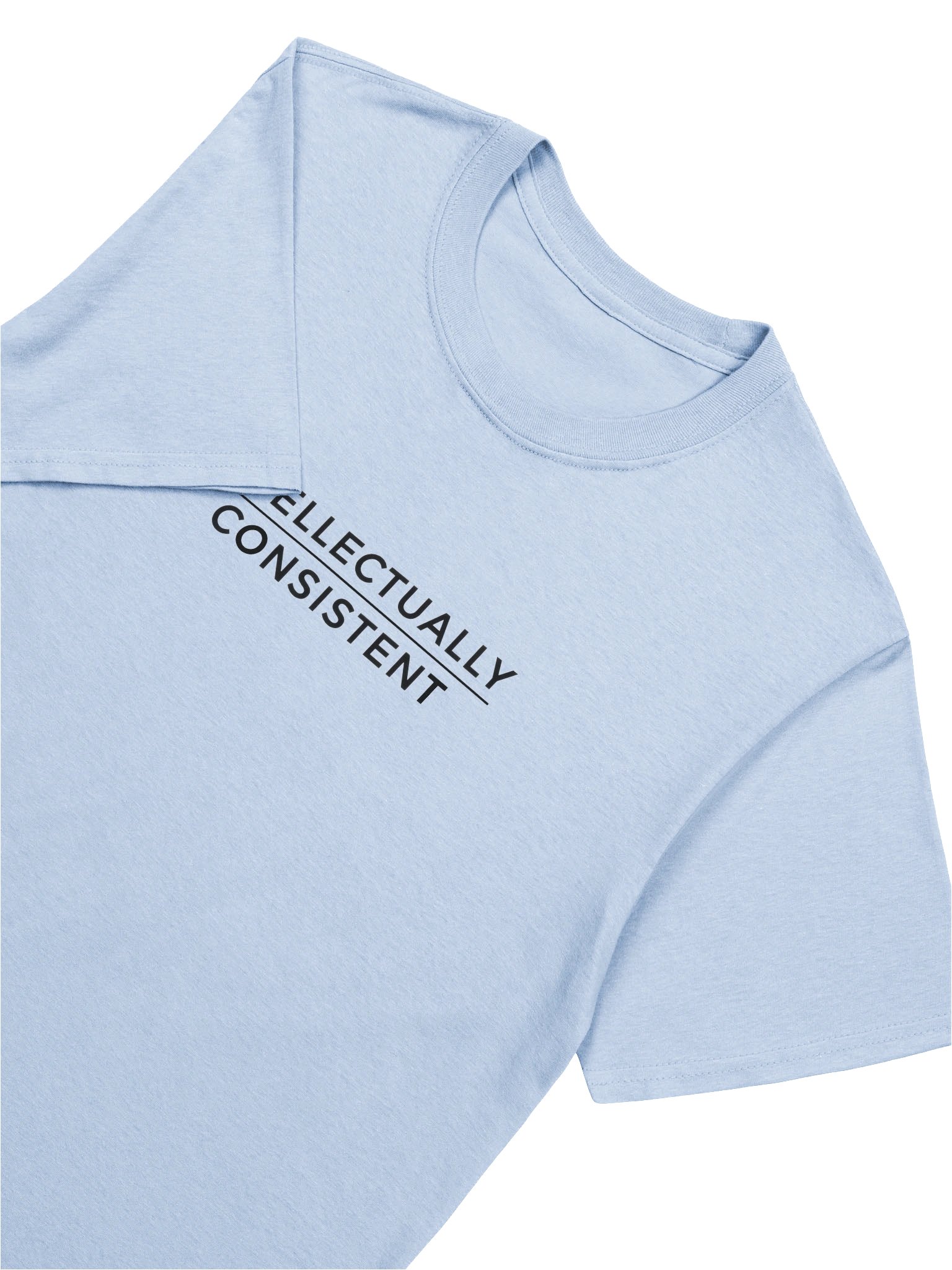 "Intellectually Consistent" Tee product image (61)