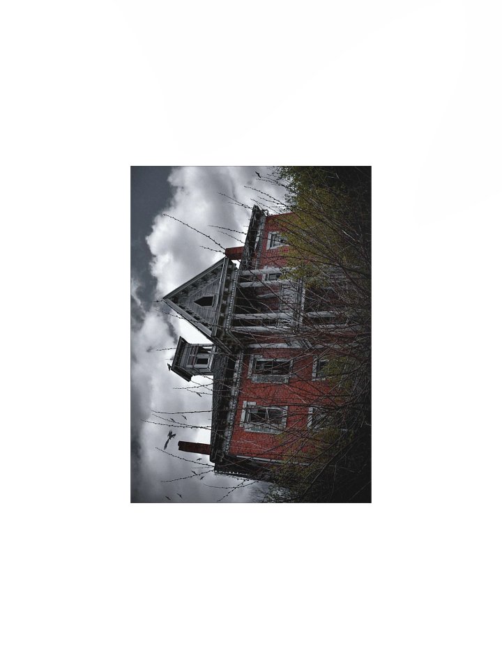 Cursed Mansion Photo Print product image (1)