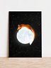 Red Fox on the Moon Art Print No.2