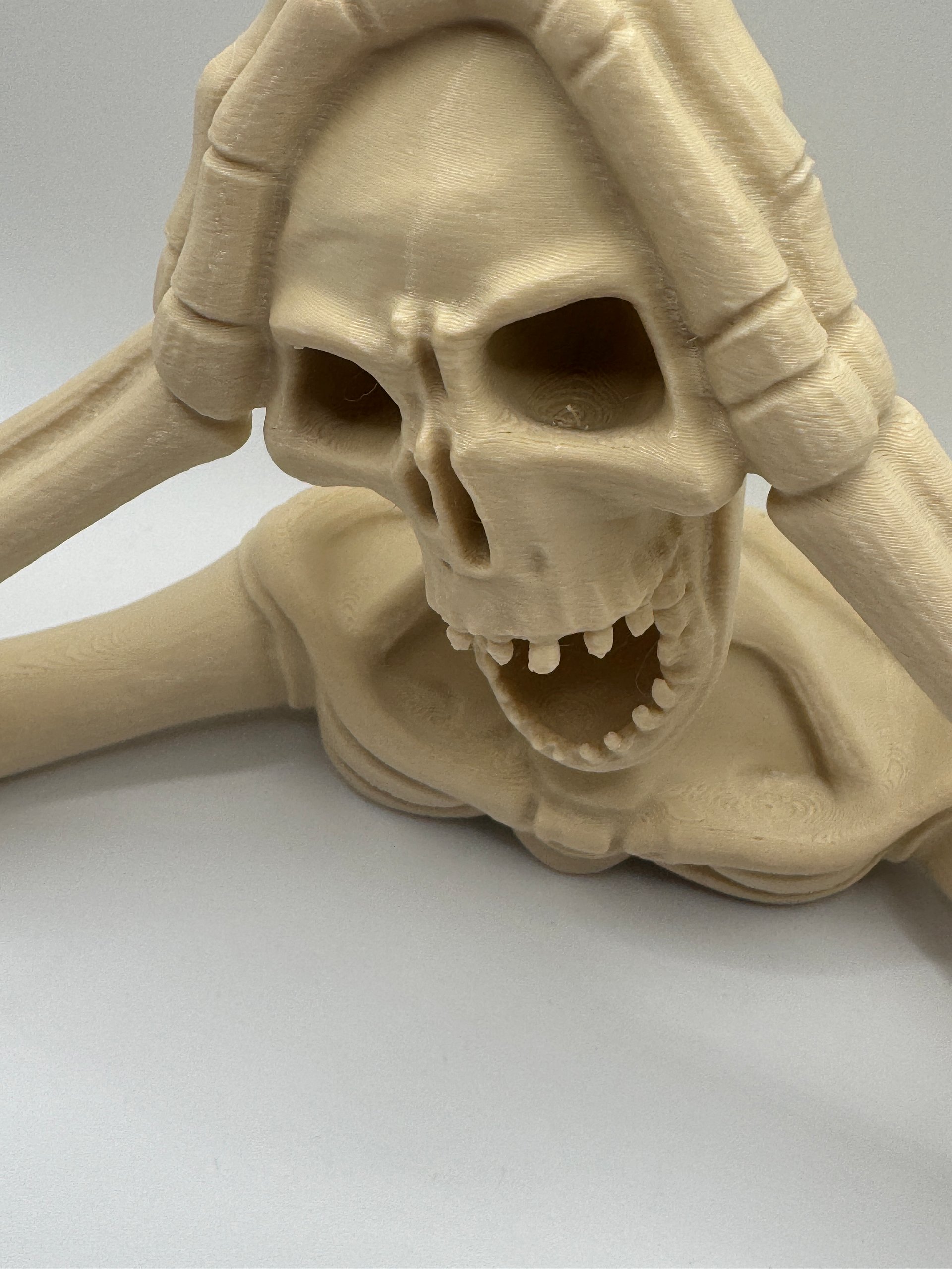 Macaulay Skeleton product image (2)