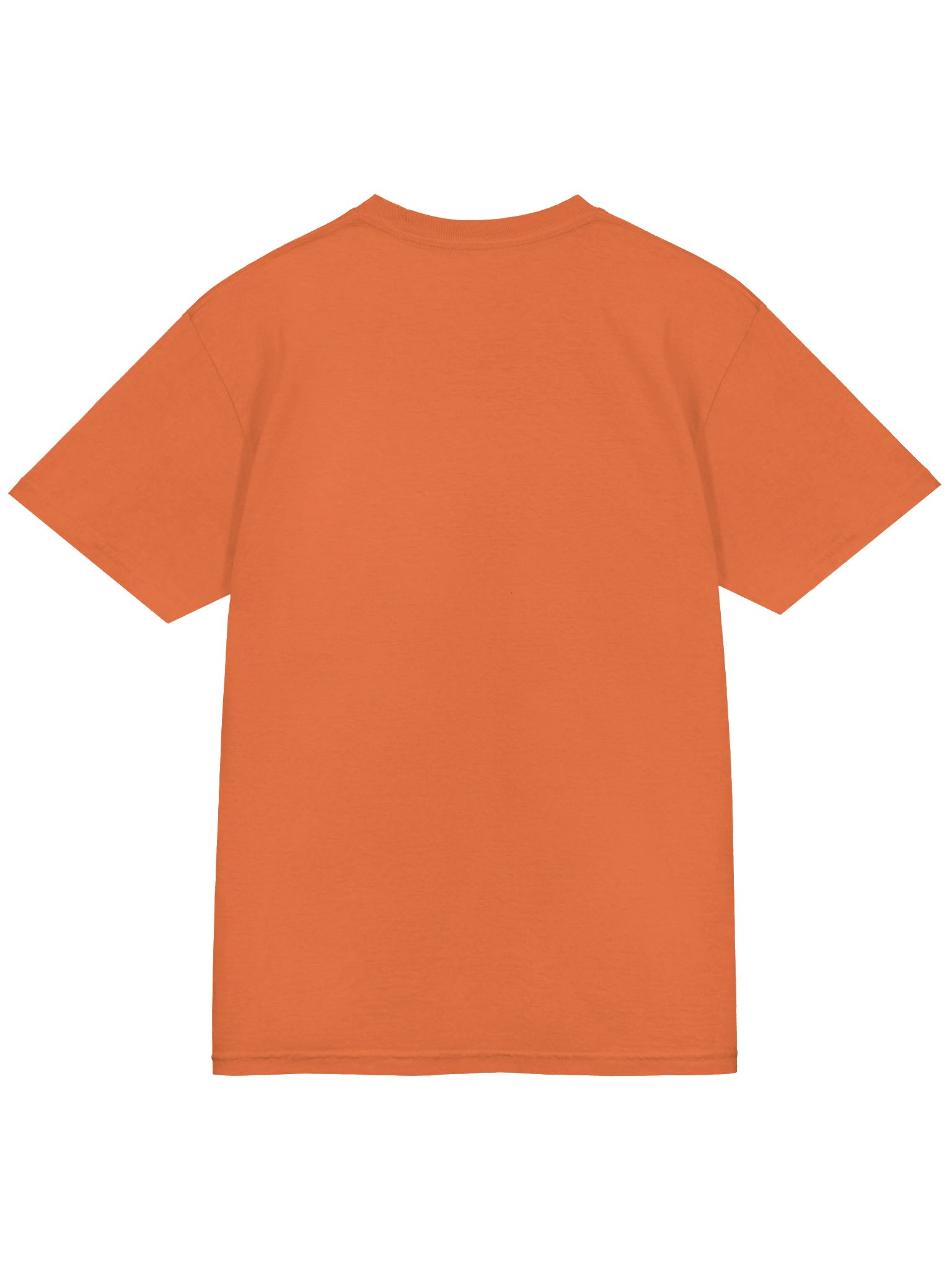 Sweet Potato Comfort Colors T-Shirt | Funny Fall Food Tee TTS - Yam product image (11)