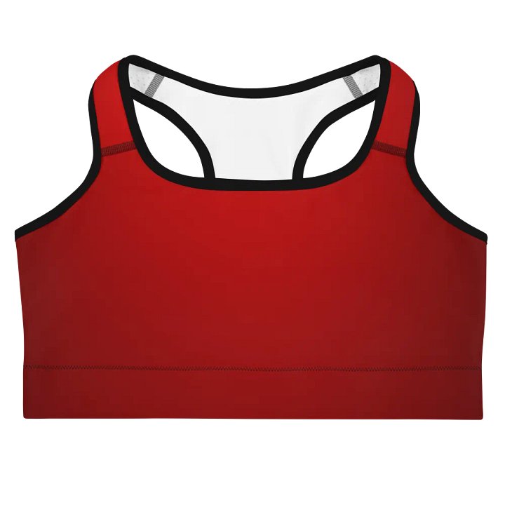 Red Gradient Power Sports Bra product image (3)