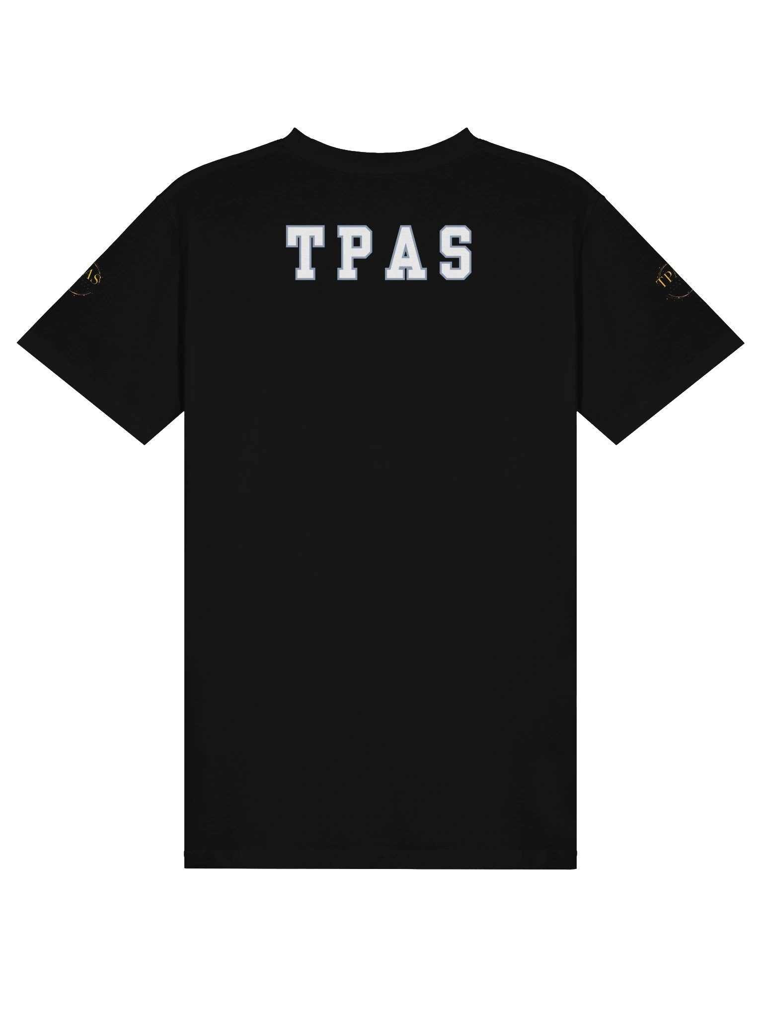 Academy Unisex premium T-shirt product image (2)