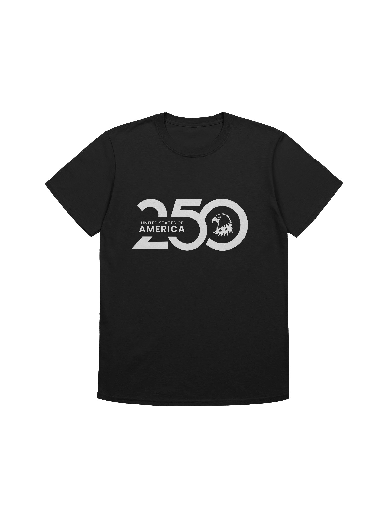 America 250 Eagle Unisex T-shirt product image (1)