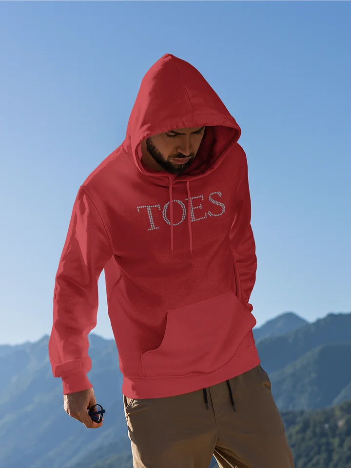 TOES classic hoodie product image (1)