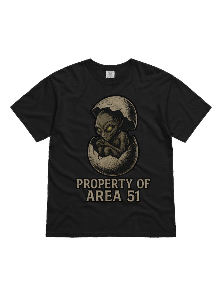 Property of Area 51 Tee product image (1)