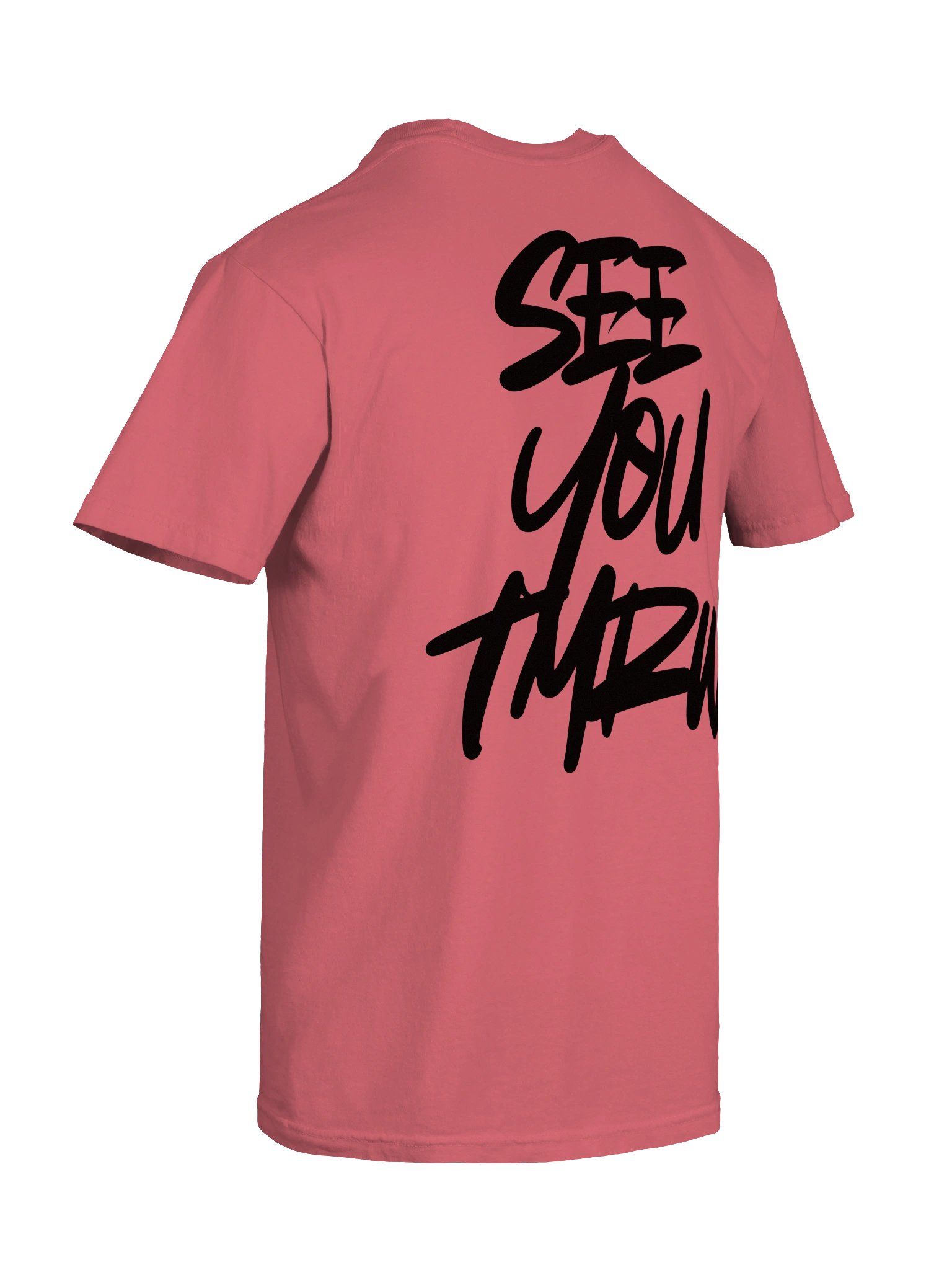 SYT2 tee (black) product image (65)