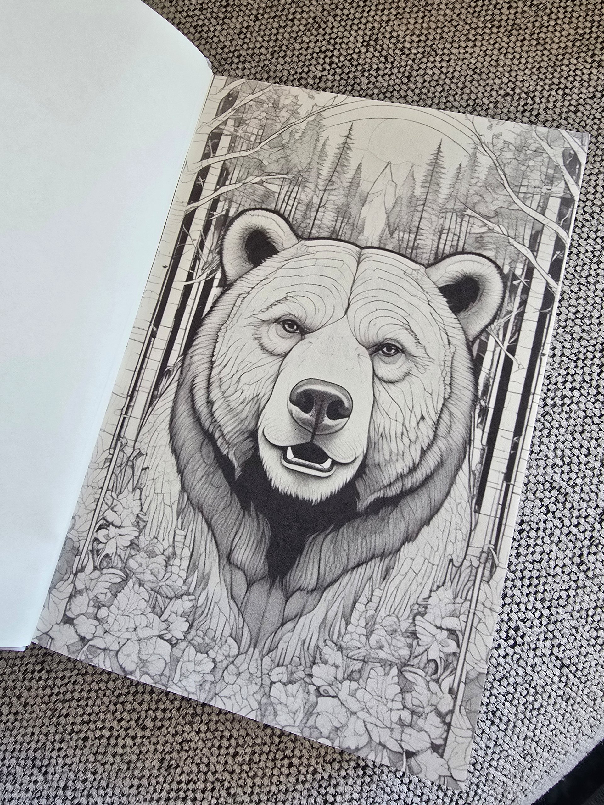 Savage North Creator Chronicles (Special Edition - Imperfect) product image (2)