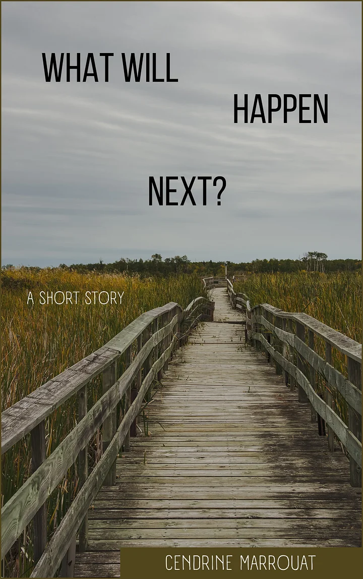 What Will Happen Next? A Short Story product image (1)