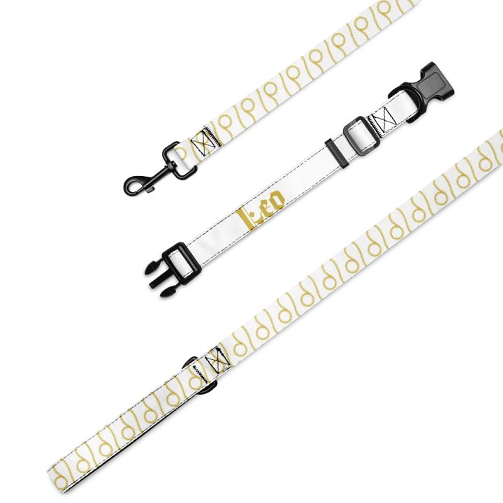 Distorted Leo Pet Collar & Leash Set product image (4)