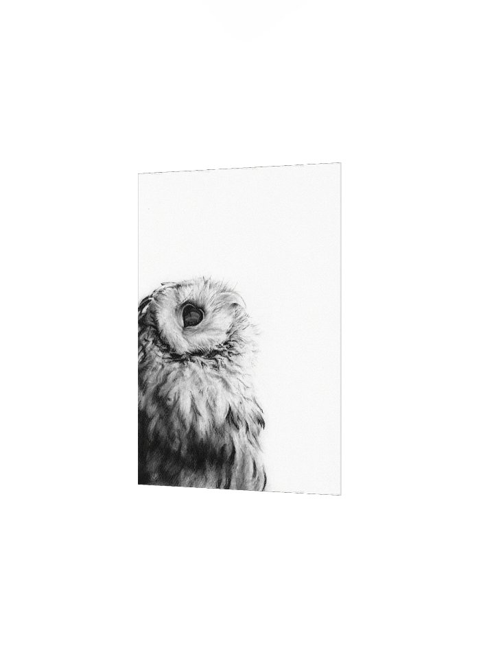 Archie - Matte Poster Print product image (2)