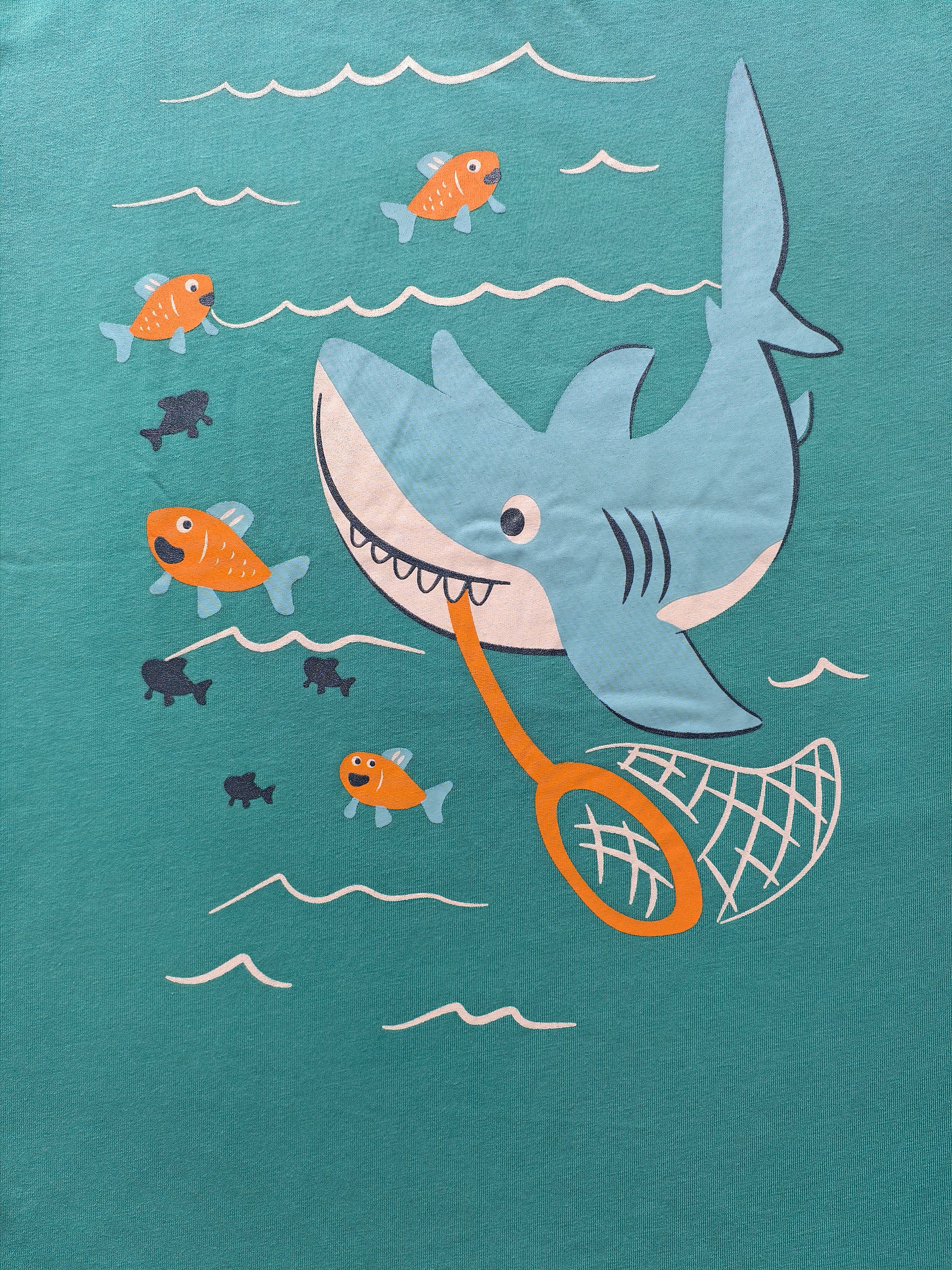 Koka Koala Boys Cotton T-Shirt product image (2)