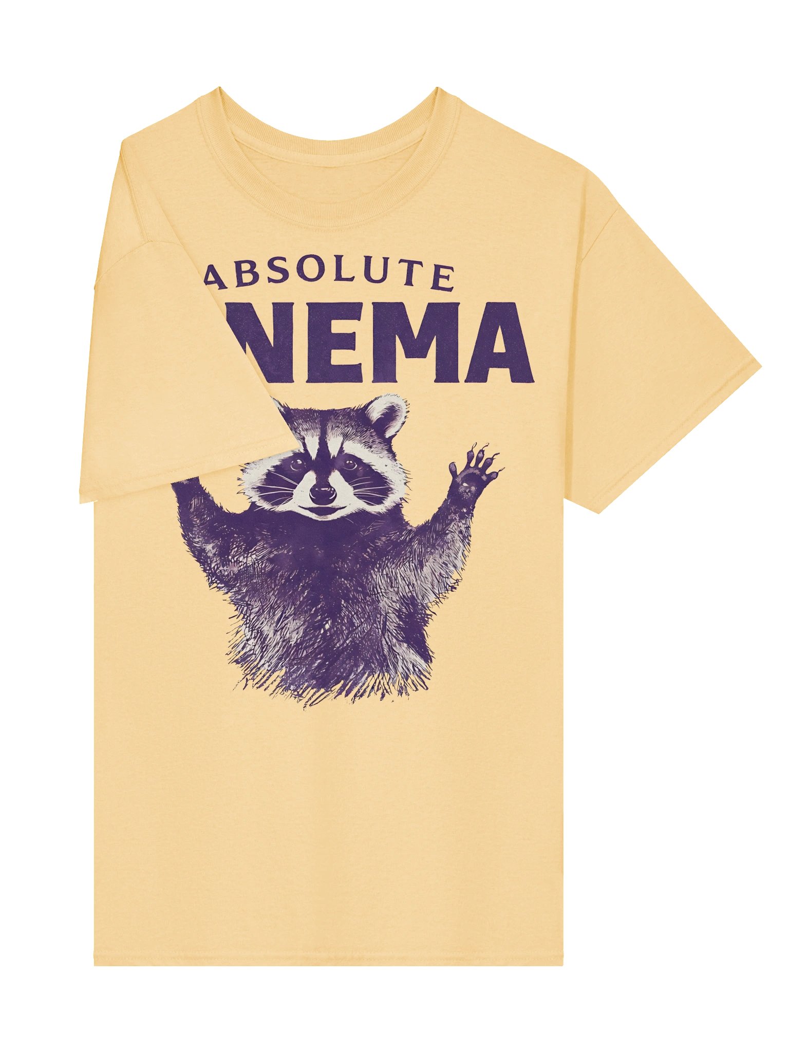 Absolute Cinema Raccoon Meme Graphic T-Shirt product image (4)