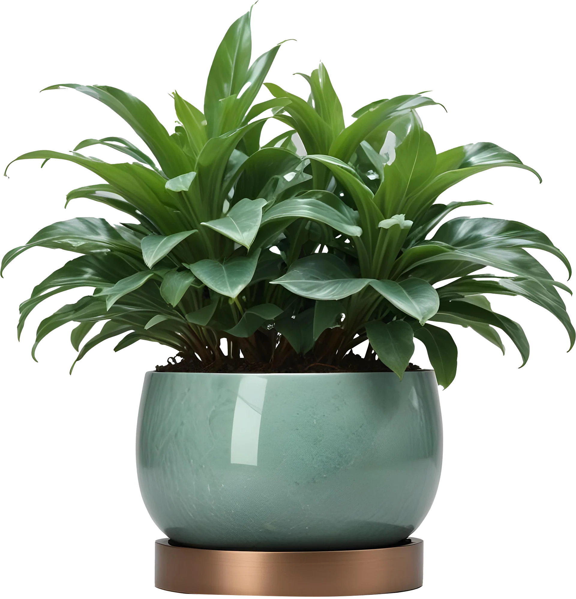 Jade Signature – Round Jade Planter with Copper Base PNG product image (1)