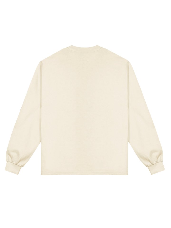 2025 PLANT DOODLES - Premium Heavyweight Long Sleeve product image (4)