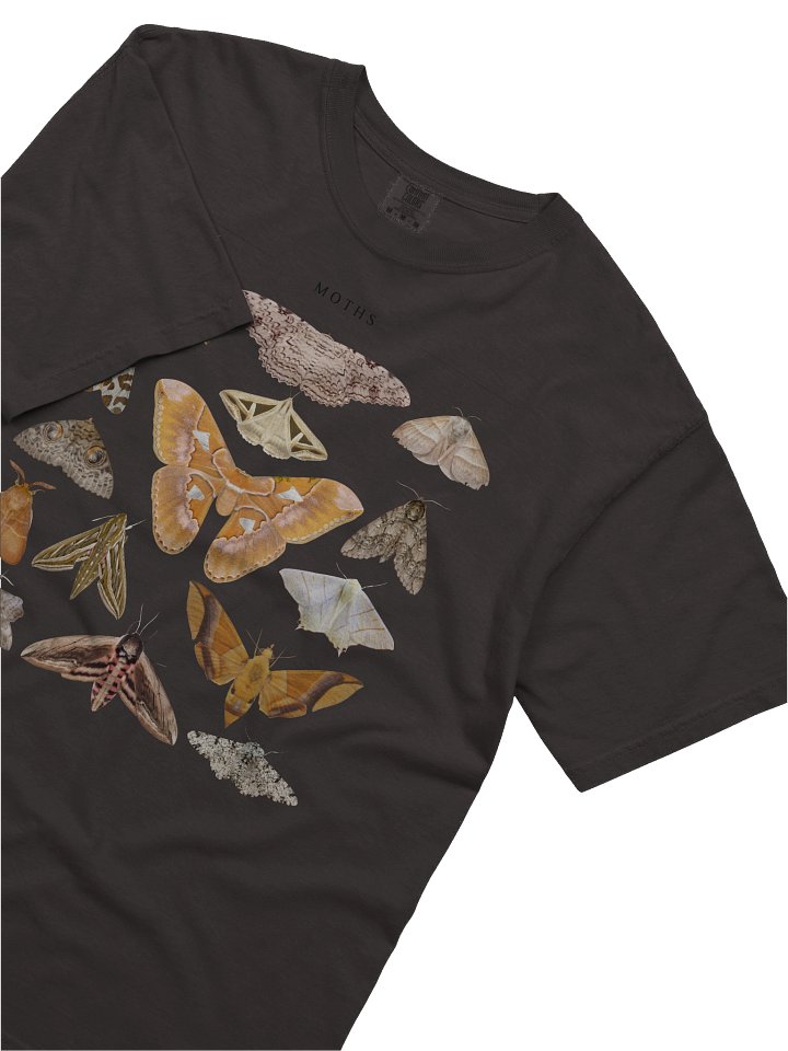 Vintage Moth Illustration Shirt – Dark Academia Insect Collage Tee, Gothic Nature Graphic product image (12)