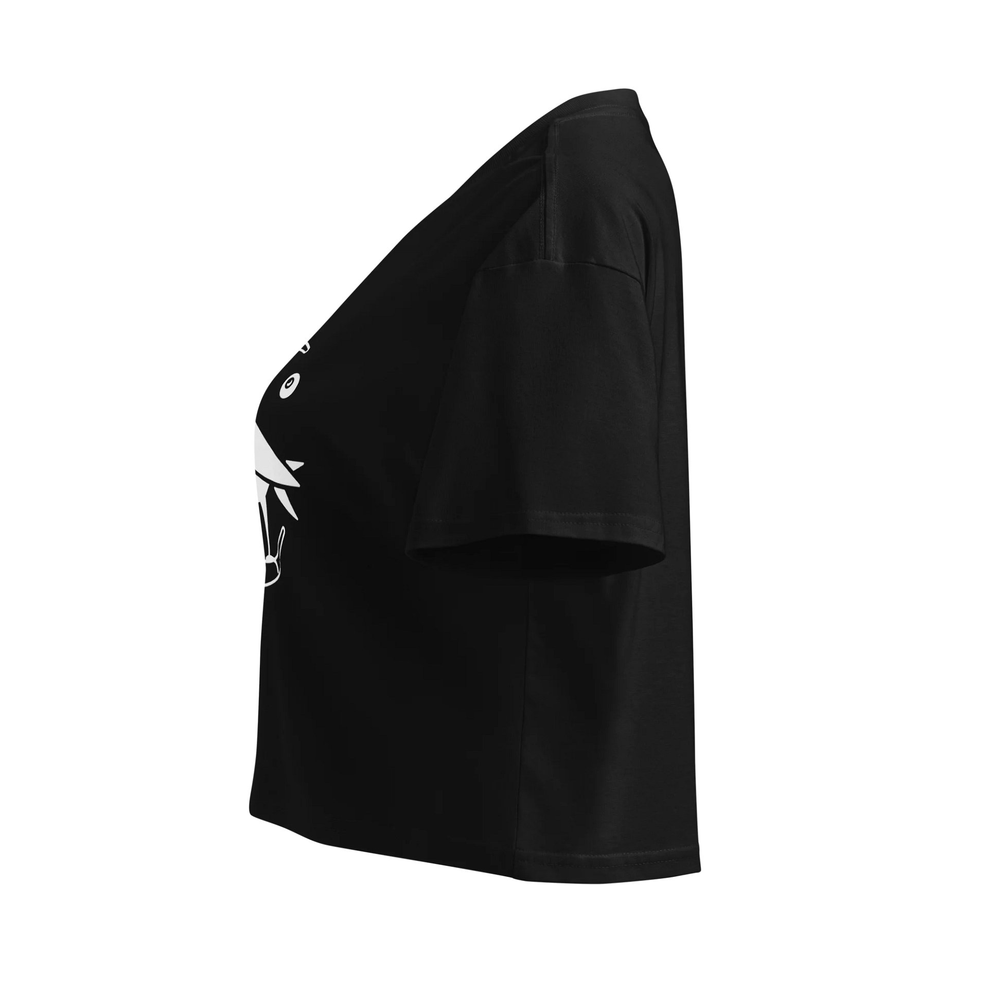 Raven T product image (3)