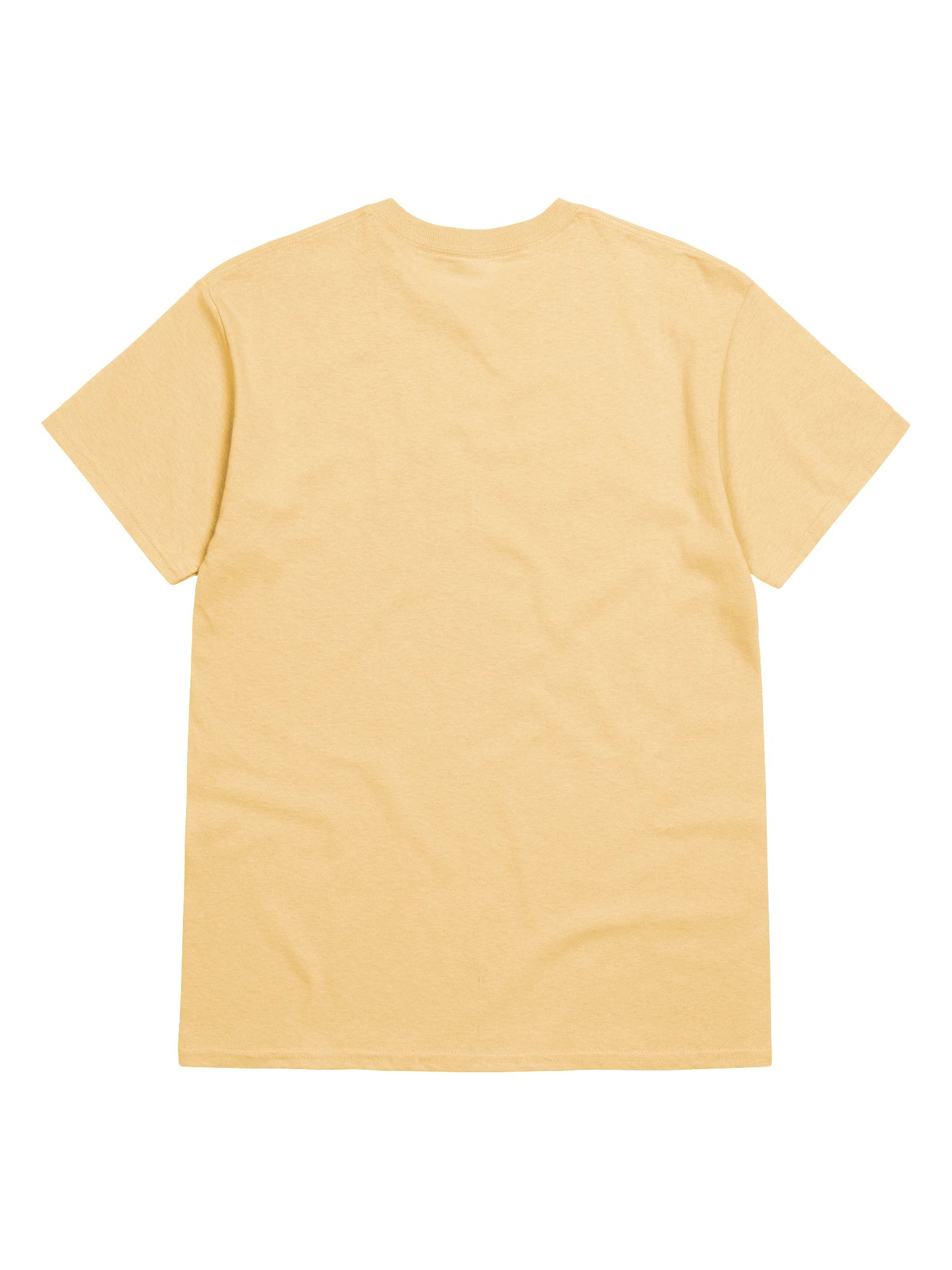 Woman Respector T-Shirt - Orange Haze product image (2)