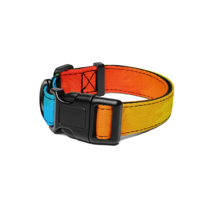 Pride Dog* Collar product image (1)
