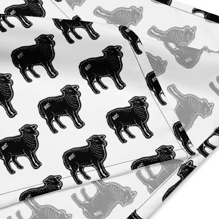 BS Bandana product image (2)