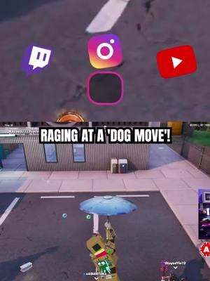 DynastyXL Rages at 'Numbhead' Teammate's Dog Move! #DynastyXL #GamerRage #FortniteMoments #ToxicTeammate #StreamerReacts #GamingFrustration #ClipGPT #streamladder