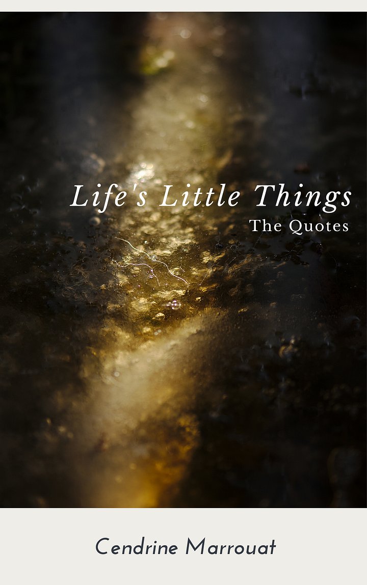 Life's Little Things: The Quotes product image (1)