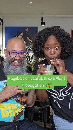 FYI we created the Misfits and Matcha Plant Lab, check our bio to join and learn actual plant science. 

Now, Boo Boos lets f...