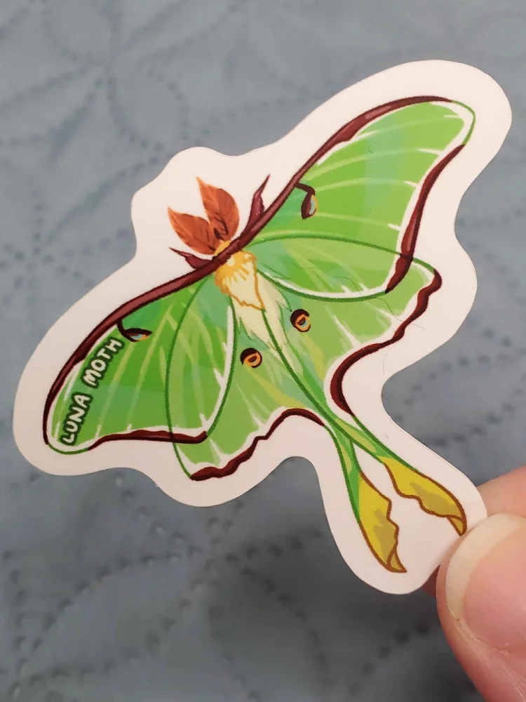Luna Moth Sticker product image (1)