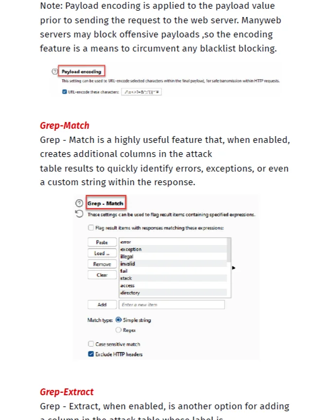 Burp Suite Notes | BSCP notes product image (3)