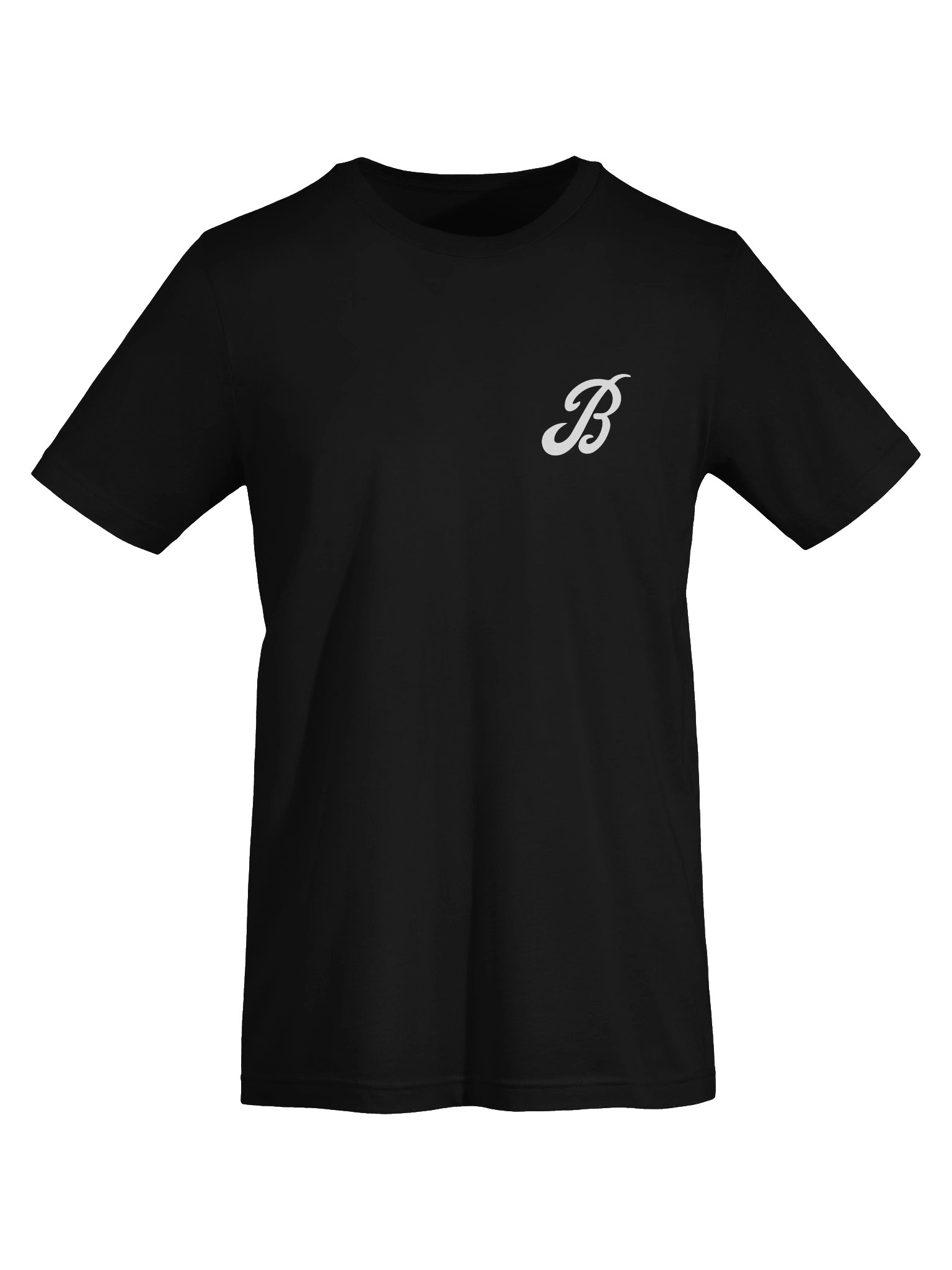 Squirrel Bro's Shirt (adult sizes) product image (9)