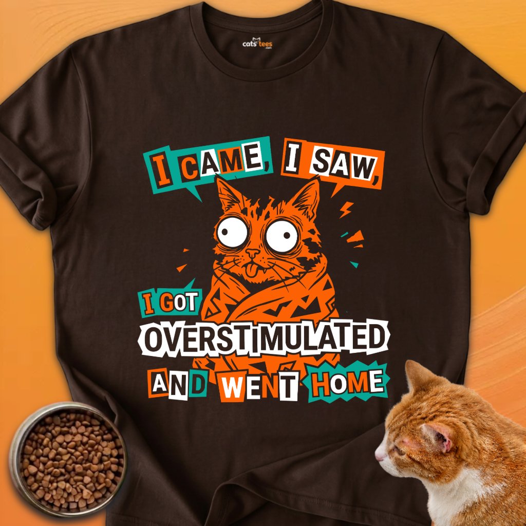 I Got Overstimulated product image (5)
