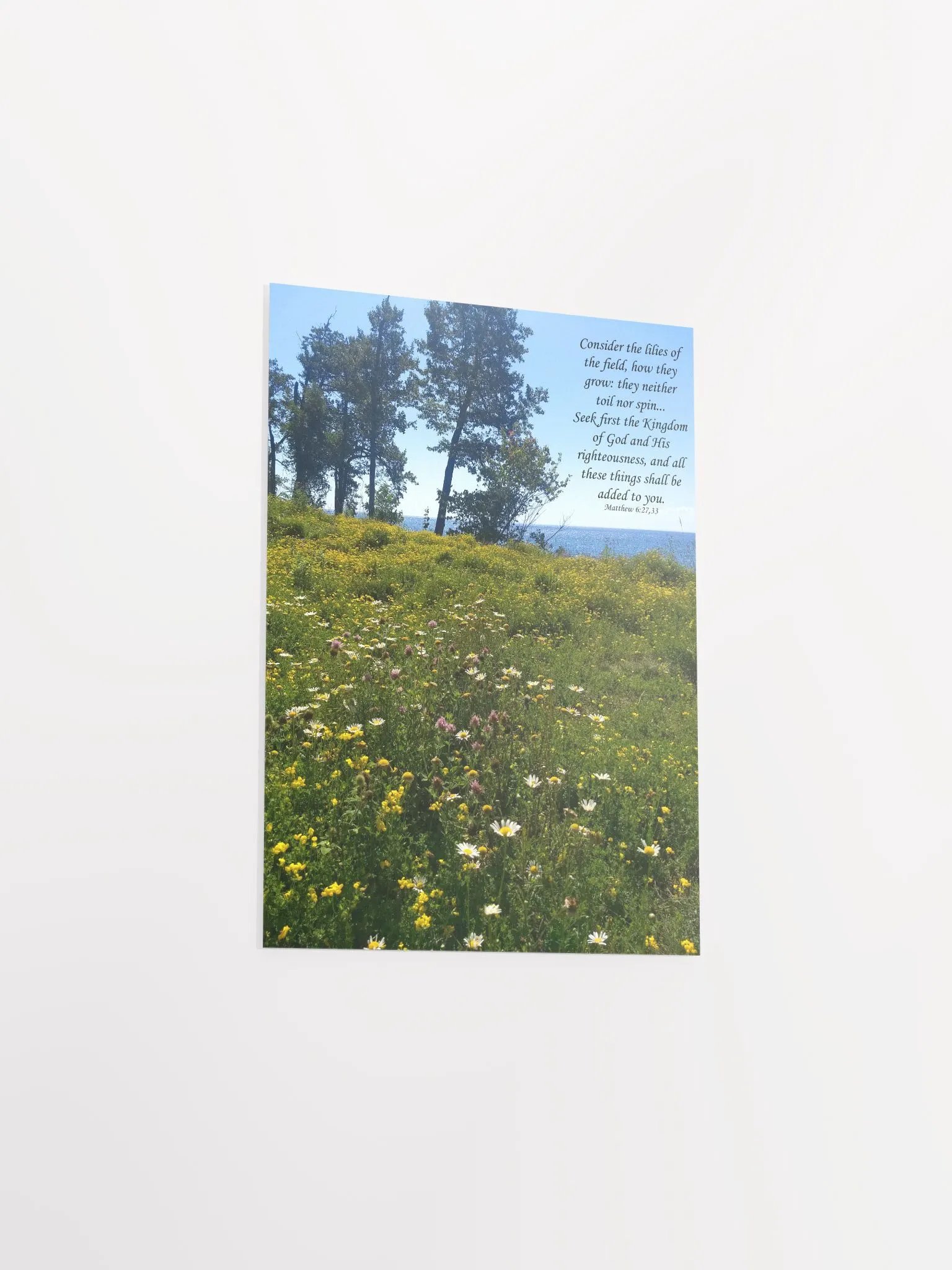 Consider the lilies - Print product image (8)