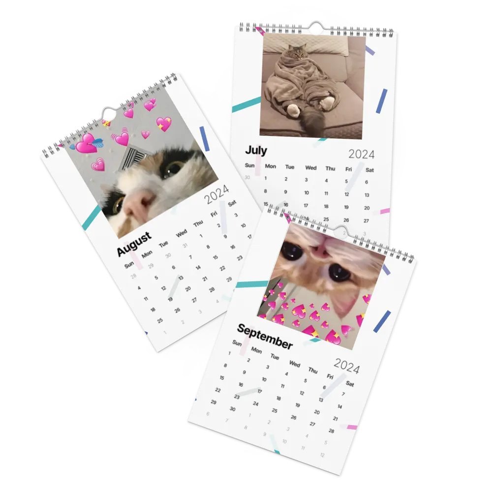 Wall Calendar (2024): Meme Cats product image (11)
