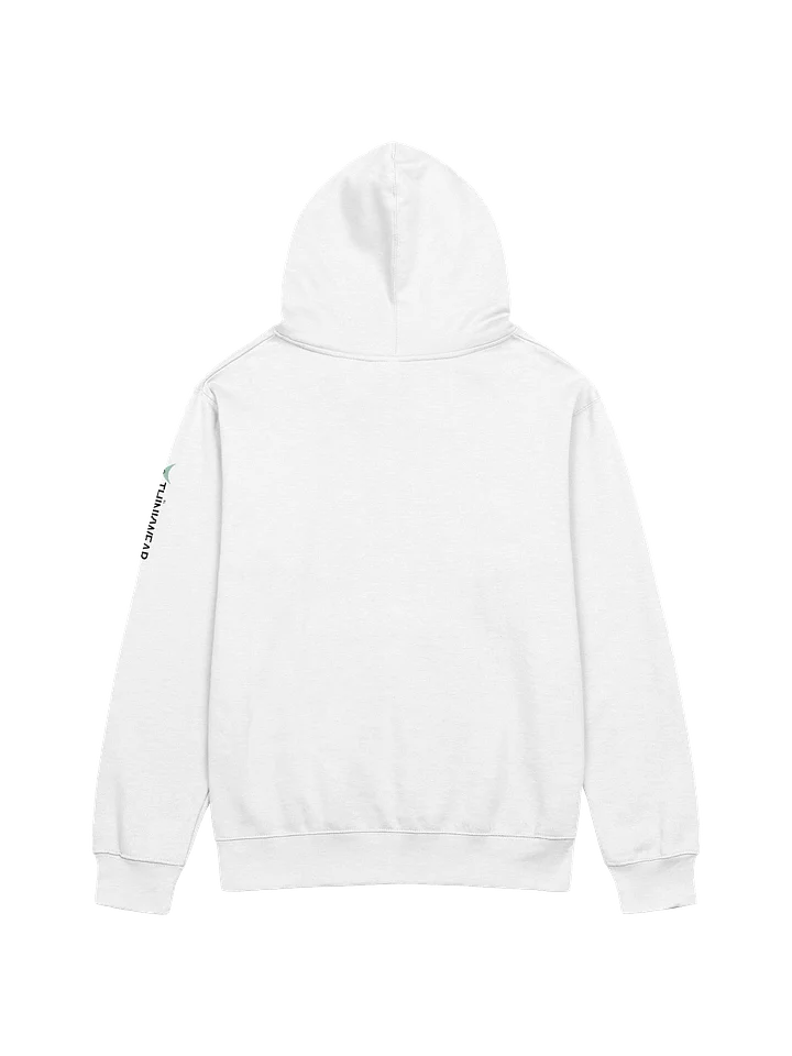 Science. Not Vibes. - Lightweight Hoodie product image (2)