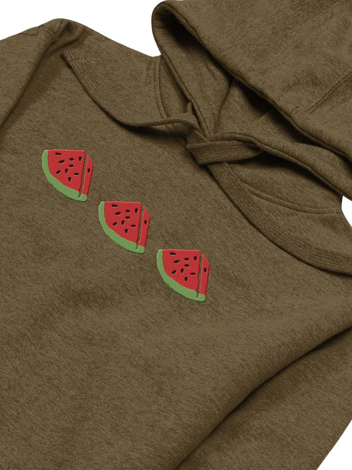Sandia Embroidered Hoodie (green) product image (2)
