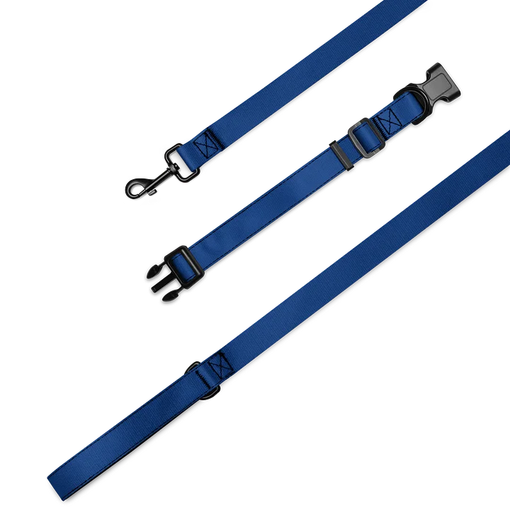 Custom Pet Collar & 6ft Leash Set product image (1)