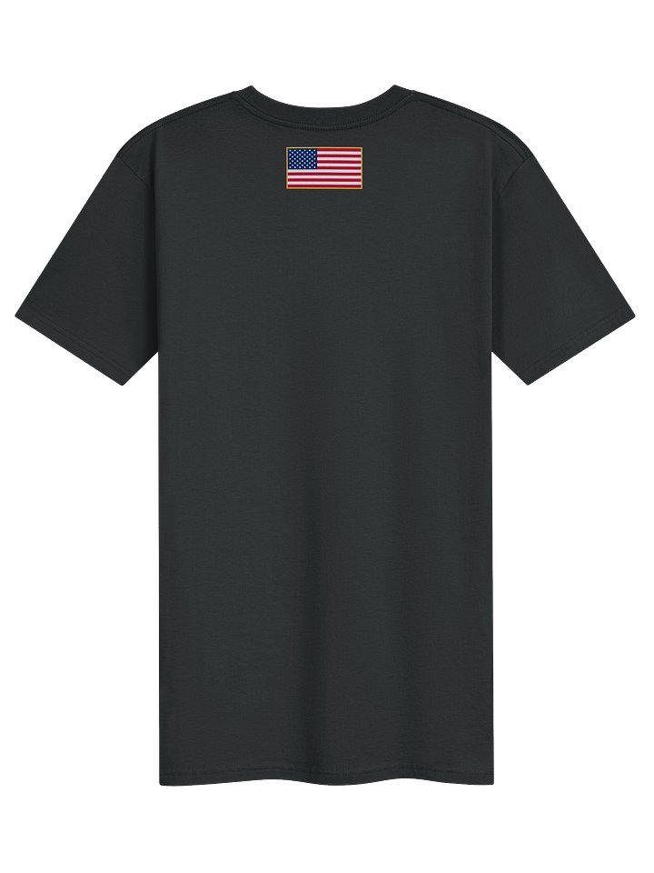 USA250 Winged Logo Tee product image (2)