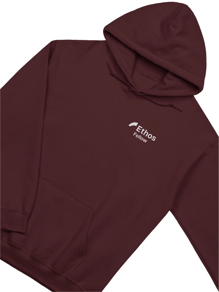 Ethos Fellow - Hoodie product image (2)