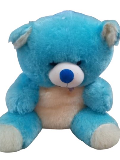 TEDDY BEAR product image (1)