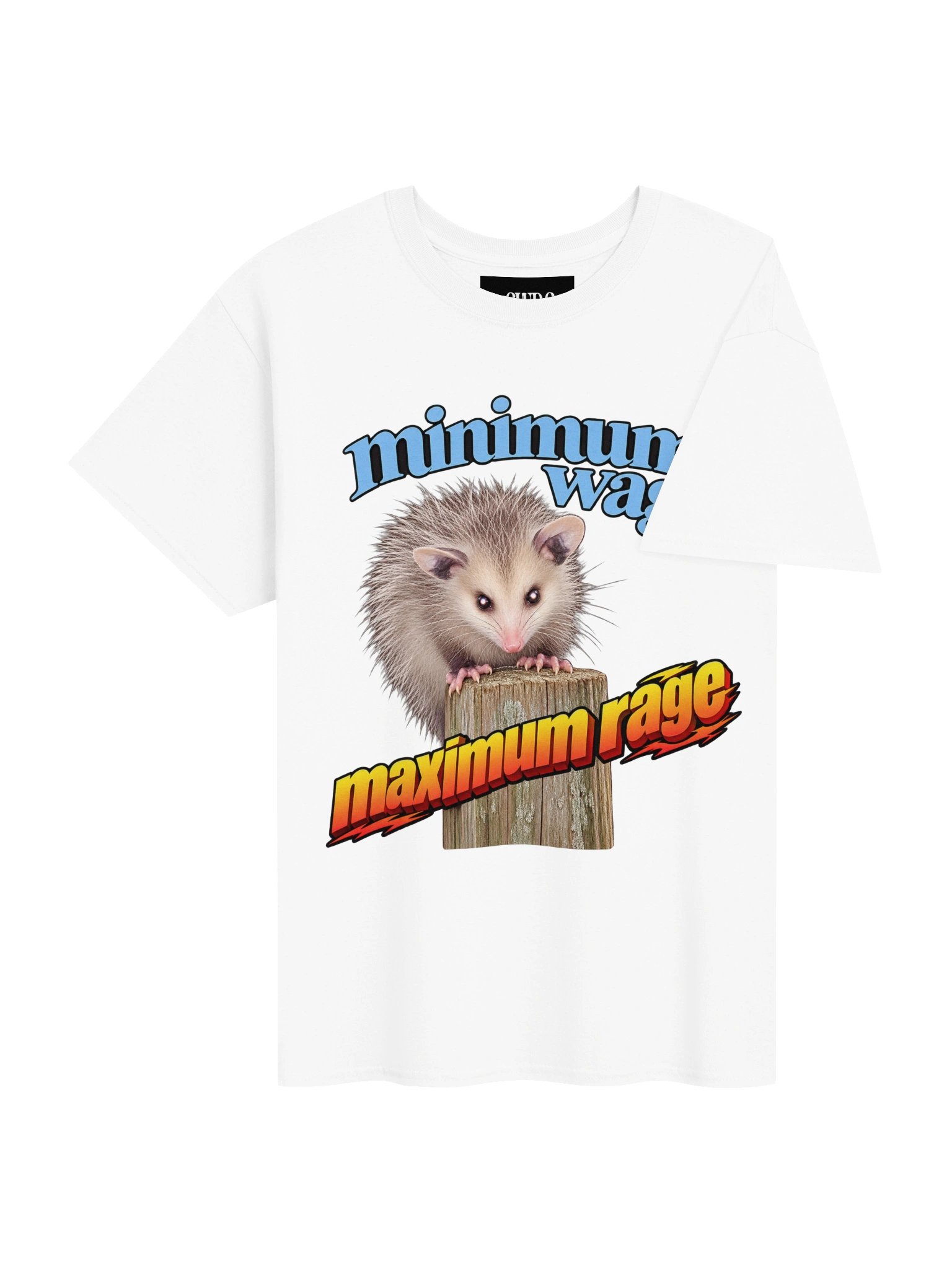 Minimum wage, maximum rage product image (34)