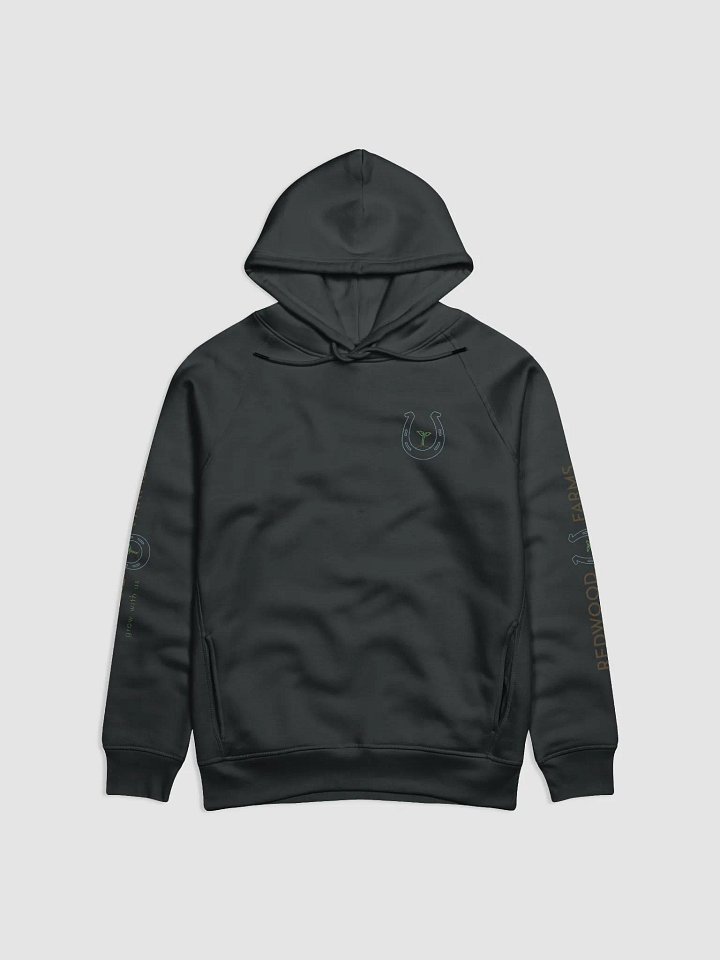 Hoodie product image (2)