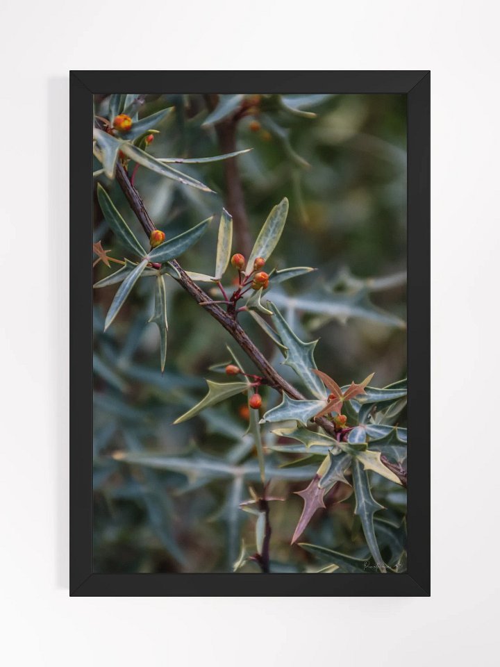 🌿Print Fine Art - Spikes and Secrets 🔒✨ product image (2)