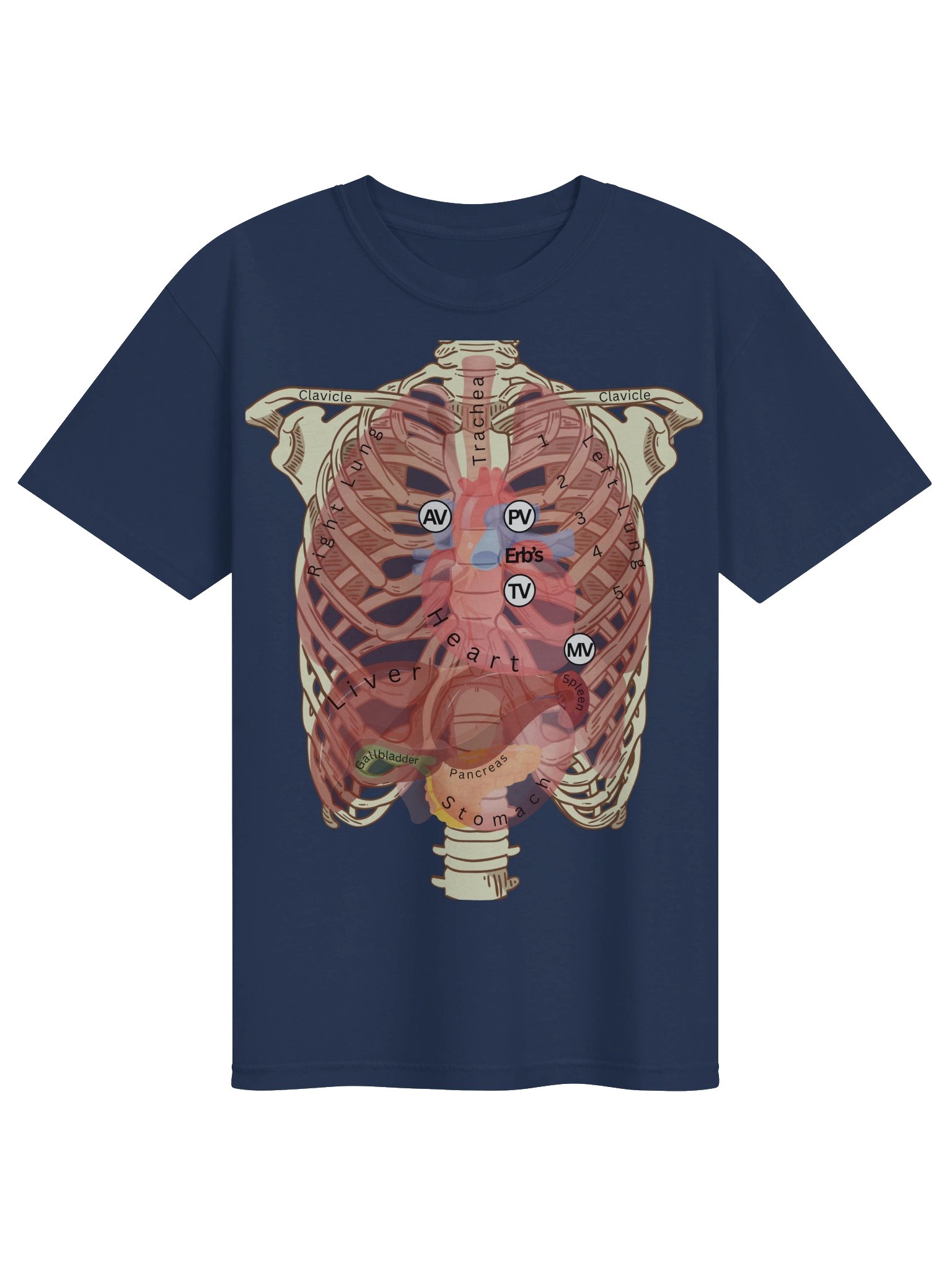 Heart Auscultation Points Anatomy Shirt | Internal Organs & Body Anatomy T-Shirt for Nursing Students by Nurse Sarah ® product image (9)