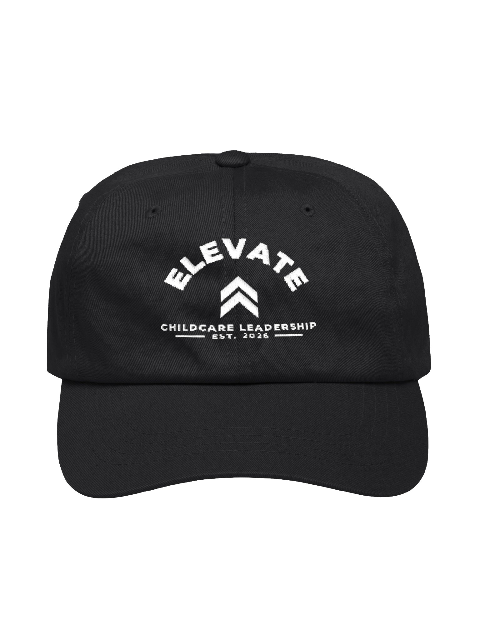 Varsity Dad Hat product image (1)
