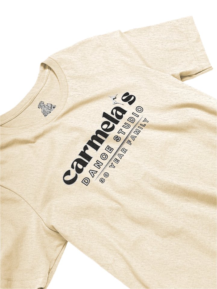 CDS "Family" T-Shirt - Adult Sizing product image (1)