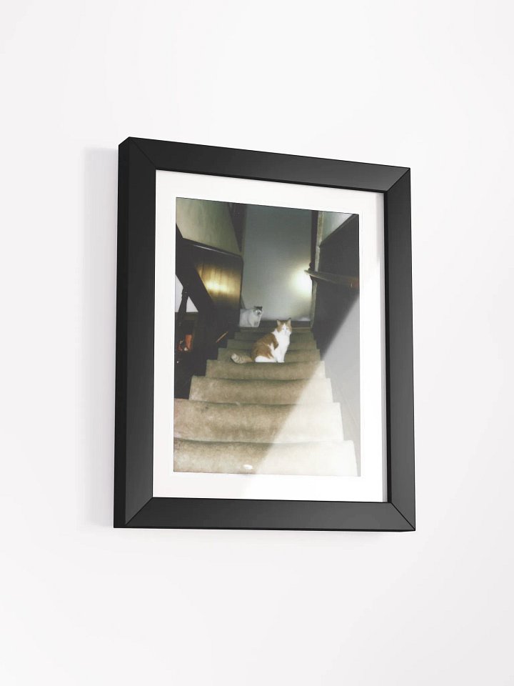 Mabel and Wendell On The Stairs product image (2)
